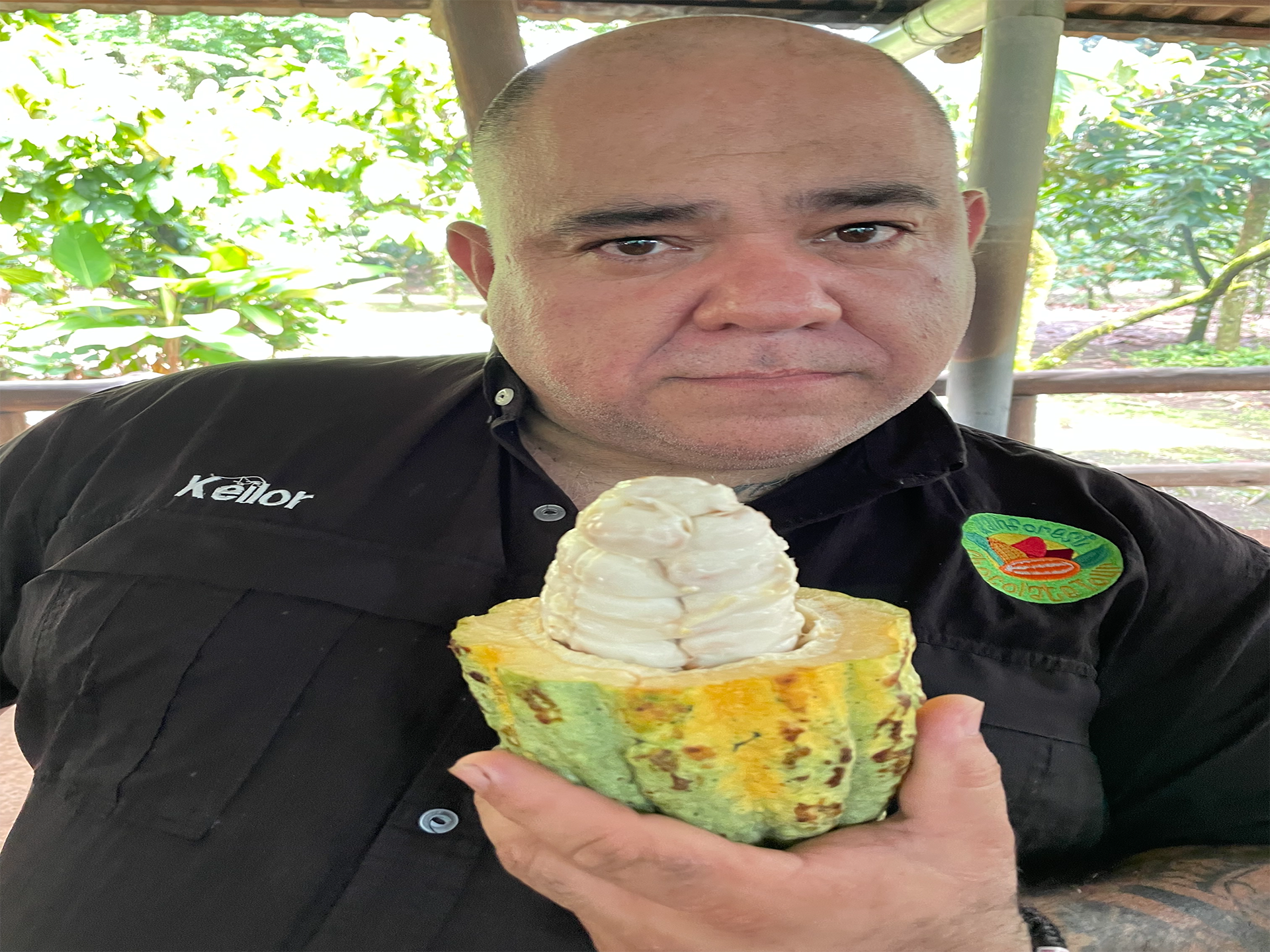 Les Chroniques des Créateurs de Magie Adventures by Disney Les Chroniques des Créateurs de Magie Adventures by Disney