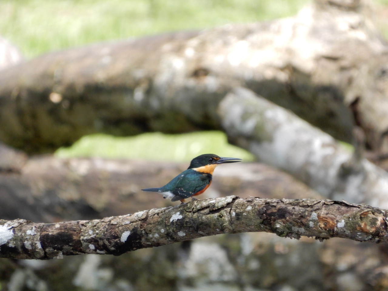 Les Chroniques des Créateurs de Magie Adventures by Disney Les Chroniques des Créateurs de Magie Adventures by Disney